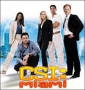 Les Experts : Miami - Saison 2