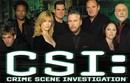 Les Experts - Saison 8