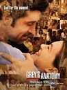 Grey's Anatomy - Saison 5