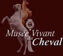Musée Vivant du Cheval - Chantilly