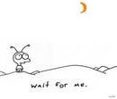 Moby - Wait For Me