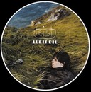 Feist - Let it Die