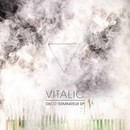 Vitalic - Disco Terminateur
