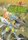 Vision d'Escaflowne - la série