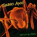 Guano Apes - Don't Give me Names