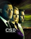 Les Experts - Saison 9