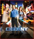 Les Experts : Manhattan - Saison 7