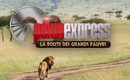 Pékin Express 2011 : La route des grands fauves