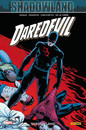 Daredevil - 2010-2011 - Shadowland