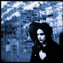 Blunderbuss