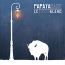 Papaya Cake - Le bison blanc