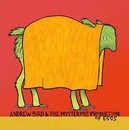 Andrew Bird - Andrew Bird & the Mysterious Production of Eggs