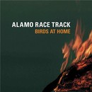 Alamo Race Track - Birds at home
