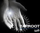 Taproot - Gift