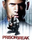 Prison Break - Saison 1