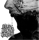 Bleeding Through - The Truth