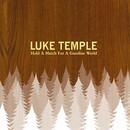 Temple (Luke) - Hold a Match for a Gasoline World