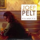 Pelt (Joep) - It is what it is