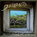 Guillemots - Through the Windowpane