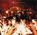 Cali - Le bordel magnifique