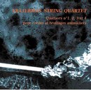 Denis Frajerman - Frâjerman String Quartet