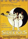 Sidekicks, partenaires de combat