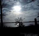 Kraken Oxen - North Asylum