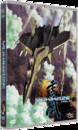 Yukikaze