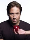 Californication - Saison 1
