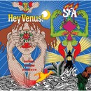 Super Furry Animals - Hey Venus!