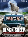 Black sheep
