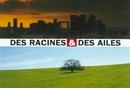 Des racines & des ailes