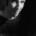 Ralph Meyer